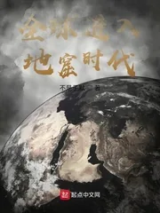 《全球进入地窟时代》小说封面
