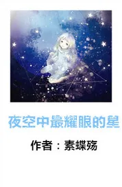 《夜空中最耀眼的星》小说封面