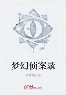 《梦幻侦案录》小说封面
