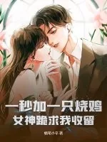 《一秒加一只烧鸡，女神跪求我收留》小说封面