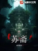 《苏斋》小说封面