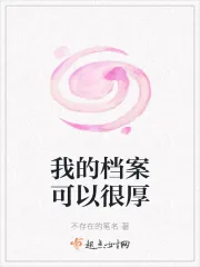 《我的档案可以很厚》小说封面