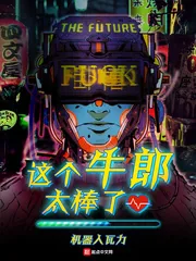 《这个牛郎太棒了》小说封面