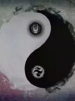 《颠阳破阴》小说封面
