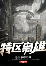 《特区枭雄》小说封面