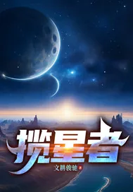 《揽星者》小说封面