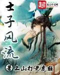 《士子风流》小说封面