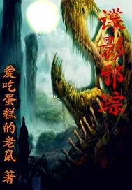 《谍影邪踪》小说封面