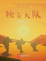 《亮剑之独立大队》小说封面