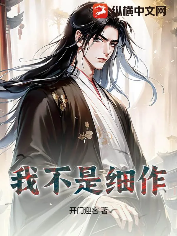 《我不是细作》小说封面
