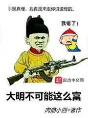 《大明不可能这么富》小说封面