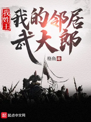 《我姓王，我的邻居武大郎》小说封面