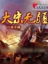 《大宋无疆》小说封面