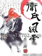 《卫氏风云》小说封面