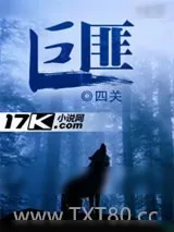 《巨匪》小说封面