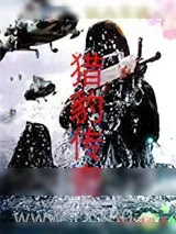 《铁血军魂之猎豹传奇》小说封面