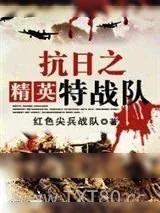 《抗日之精英特战队》小说封面