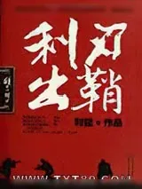 《利刃出鞘》小说封面