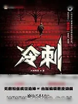 《冷刺》小说封面