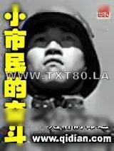 《小市民的奋斗》小说封面