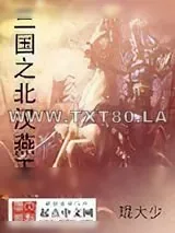 《三国之北汉燕王》小说封面