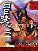 《白日梦之三国》小说封面