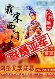 《霸宋西门庆》小说封面