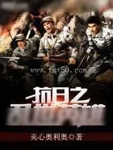 《抗日之乱世英雄》小说封面