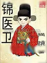 《锦医卫》小说封面