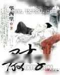 《最才子》小说封面
