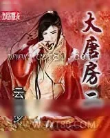 《大唐房二小》小说封面