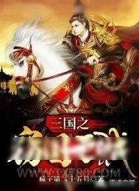 《三国之窃国之贼》小说封面