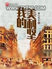 《我的美利坚》小说封面