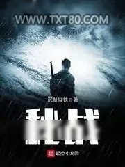 《秘战》小说封面