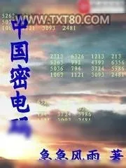 《中国密电码》小说封面