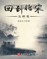 《回到北宋当明君》小说封面