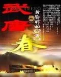 《武唐春》小说封面