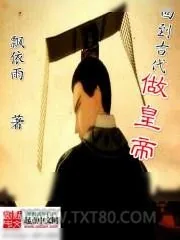 《回到古代做皇帝》小说封面