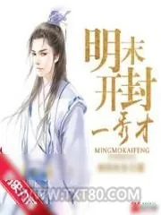 《明末开封一秀才》小说封面
