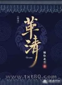 《革清》小说封面