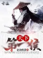 《天下第一侯》小说封面