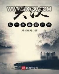 《兴汉从一杯毒酒开始》小说封面