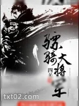《骠骑大将军》小说封面