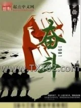 《奋斗1981》小说封面