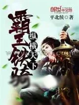 《霸王铁骑纵横天下》小说封面