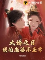 《大婚之日，我的老婆不正常》小说封面