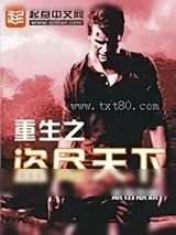 《重生之盗尽天下》小说封面