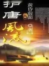《护唐风流》小说封面