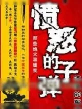 《愤怒的子弹》小说封面