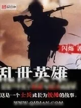 《乱世英雄》小说封面